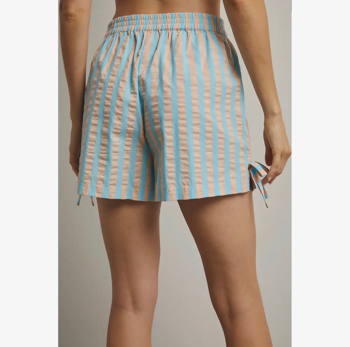 Horizon Stripe Short