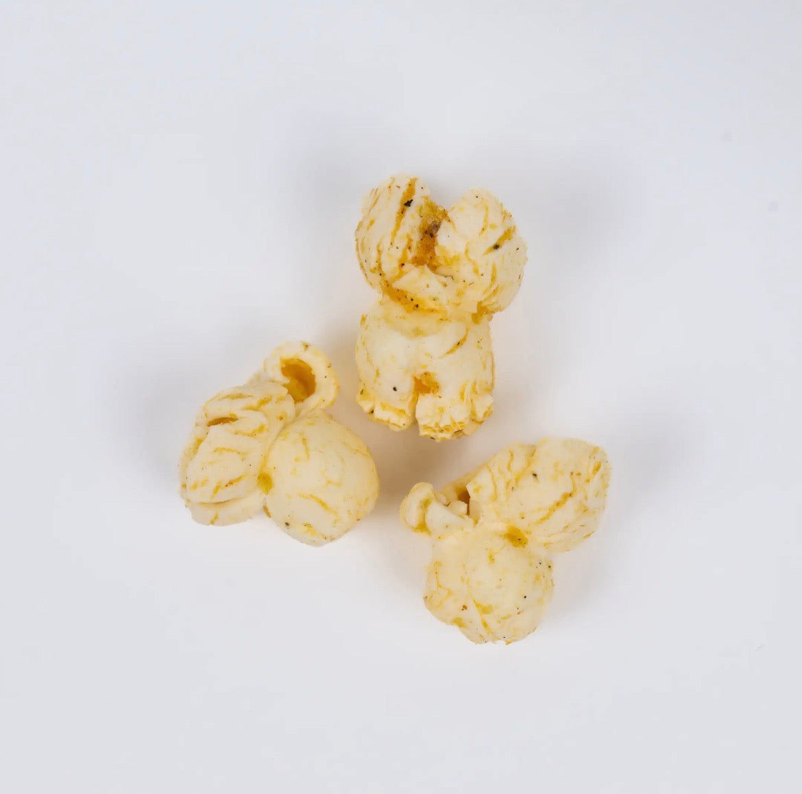 POPPY | *new* Caramelized Onion + Sage Popcorn