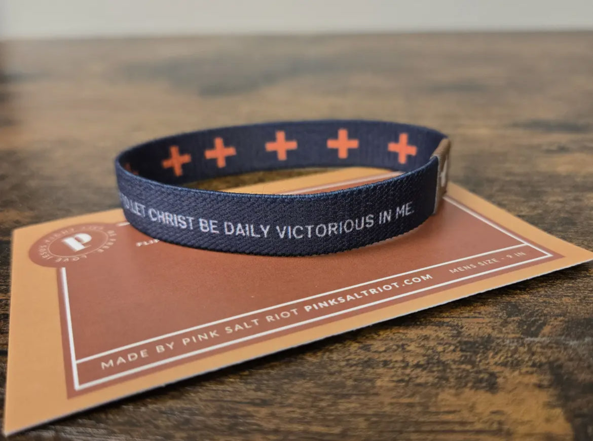 Pink Salt Riot | Truth Band