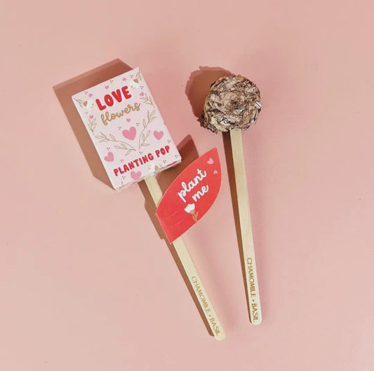 Love Flowers Garden + Gift Seed Planting Pop